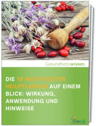 led beleuchtung für weihnachtsstern LED Außen-Weihnachtsstern Nova 60cm IP65 online kaufen main image 0