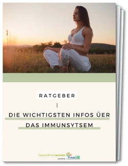 Farne: Gesunde Heilpflanze und richtige Anwendung